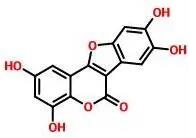 普菲德專題產品推薦-墨旱蓮系列(圖5)